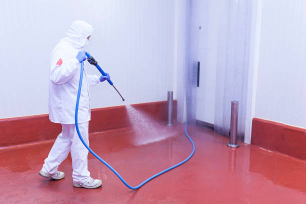 Best Paint Preparation  in Kingston, IL